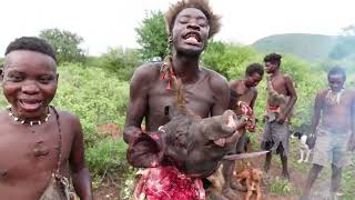 OMG HADZABE HUNTERS HAD A GOOD HUNT TODAY HADZABE TRIBE ORGINAL HUNTERS IN LAKE EYASI KARATU [upl. by Notsgnal]