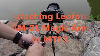 Leofoto MT03 Mini Tripod LH25 ballhead and accessories [upl. by Amalburga29]