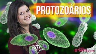 PROTOZOÁRIOS principais características e classificação  Resumo de Biologia para o Enem [upl. by Kampmeier]