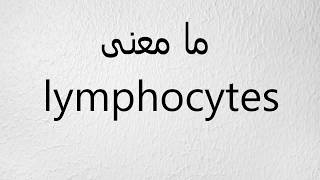 ما معنى lymphocytes [upl. by Sama]