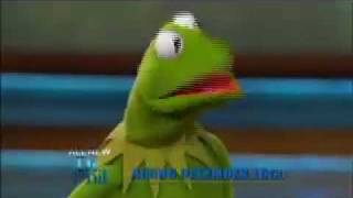 The Dr Phil Show  Dr Phil and Kermit The Frog [upl. by Schiffman967]