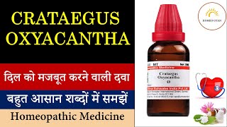 Crataegus Oxyacantha homeopathic Medicine  crataegus Mother Tincture  prevent heart attack [upl. by Terina]