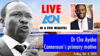 Dr Cho Ayaba Cameroun’s primary motive [upl. by Akissej]