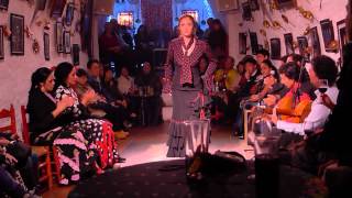 Flamenco Vivo Cueva de Sacromonte Granada Spain Teaser Part 2 [upl. by Sualohcin]