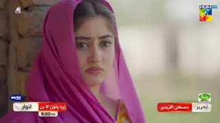 Zard Patton Ka Bann Episode 17 Promo  Sajal Ali  Hamza Sohail  Sunday at 800 PM [upl. by Nerti956]