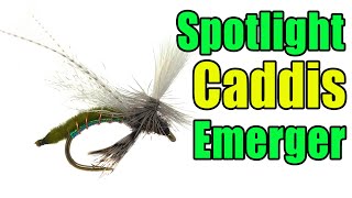 Spotlight Caddis Emerger Fly Tying [upl. by Eelirak]