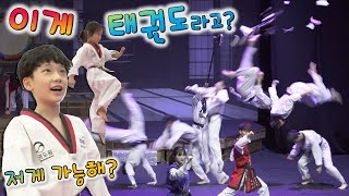 태권도의 성지라고 4품에 간다는 태권도원에서 겨루기 대결  버섯도리 Taekwondo [upl. by Aticilef]