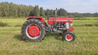 Massey Ferguson 175 MP Turbo esittely [upl. by Notlaw]