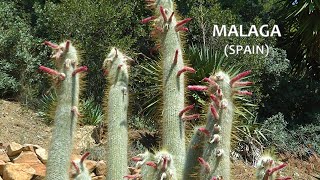 SPAIN Botanical garden of Malaga Andalucia May 2016 [upl. by Rajiv796]