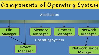 Components of Operating System  ADS  Function of Operating System Hindi Urdu [upl. by Nosnorb]