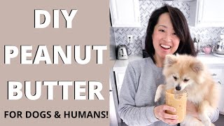 DIY PEANUT BUTTER  Recipe for Dogs amp Their Humans 3 Minute Recipe [upl. by Hastings]