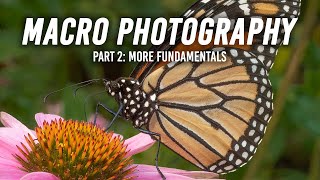 Macro Photography  Part 2 More Fundamentals [upl. by Dorey]