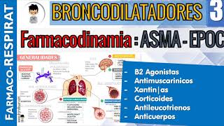 B2 AGONISTAS AntiMUSCARINICOS CORTICOIDES XANTINAS ANTILEUCOTRIENOS Farmacodinamiacinetica 3 [upl. by Simmons]