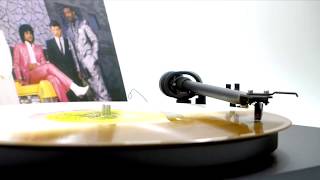 The Time  Jungle Love Official Vinyl Video [upl. by Hafeetal]