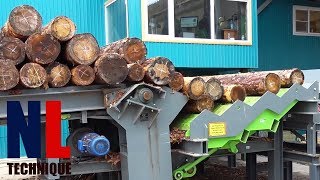 Amazing Sawing Lines with Automatic Sawmill Machines  Modern Wood Processing Factory [upl. by Elinet957]