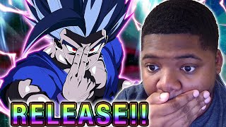 These 9th Anniversary LR Beast Gohan Summons Are UNBELIEVEABLE  Dokkan Battle [upl. by Eatton]