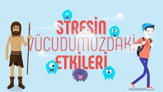 Stresin VÃ¼cudumuzdaki Etkileri [upl. by Adnorahc]