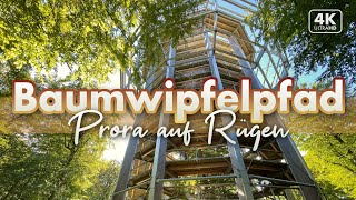 Baumwipfelpfad Prora  Rügen von oben 2022 4K Walk [upl. by Dawaj]