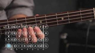 How to Play a B Minor Scale  Bass Guitar [upl. by Romain]