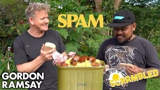 Gordon Ramsay Makes SPAM Scrambled Eggs in Hawaii  Scrambled [upl. by Ynafetse]