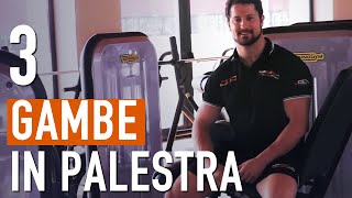 Allenamento GAMBE e COSCE per aumentare la MASSA MUSCOLARE [upl. by Arlen494]