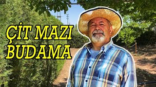 Hobi Bahçesi Düzenleme  5  ÇİT MAZI BUDAMA  GARDENA EasyCut Çit Kesme Makinası [upl. by Orten]