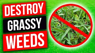 Crabgrass Dallisgrass Bahiagrass and Carpetgrass  Weed Control for Grassy Weeds in Your Lawn [upl. by Dorman]