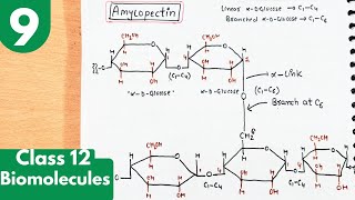 9 Polysaccharides Starch  Amylose and Amylopectin with structures Biomolecules class12 chemistry [upl. by Mast]