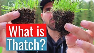 WHAT is THATCH in a lawn and HOW to REMOVE it [upl. by Jenelle]