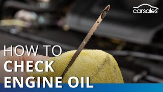 HOW TO Checking engine oil levels 2 amp 4 Stroke [upl. by Naimad]