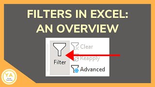 Filter in Excel An Overview [upl. by Margalo501]