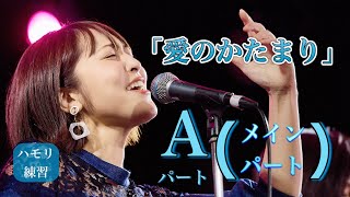 【剛パートのみ】愛のかたまり② Aパート（メインパート）【ハモリ練習】 [upl. by Watters]