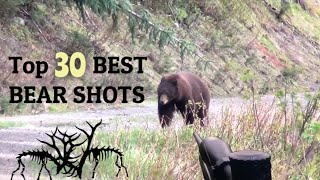 TOP 30 BEST BEAR HUNTING KILL SHOTS [upl. by Davey765]