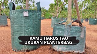 Ukuran plenterbag untuk tabulampot mangga [upl. by Areit]