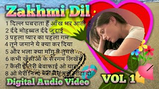 Zakhmi Dil 💝 र्दद भरे गीत  Digital Jhankar VOL 1  Kumar Sanu amp Anuradha Paudwal amp Kaveeta krishn [upl. by Eldridge817]