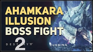 Ahamkara Illusion Destiny 2 Boss [upl. by Noyad]