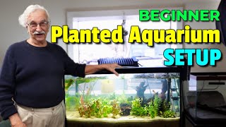 Unleash Your Creativity How To Create A Stunning Natural Planted Aquarium [upl. by Rochester843]