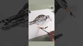 Redshank Ink Painting 🦐  painting shorts [upl. by Elraet]