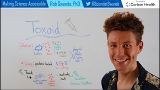 Toxoid Vaccines Explained [upl. by Ydnolem]