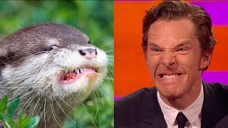 Benedict Cumberbatch’s resemblance to an otter – The Graham Norton Show Series 18 Episode 9 – BBC [upl. by Thury]