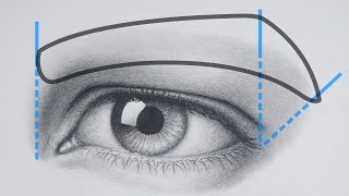 How to Draw a Realistic EYEBROW [upl. by Gilda571]