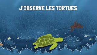 Jobserve les tortues marines [upl. by Weingartner559]