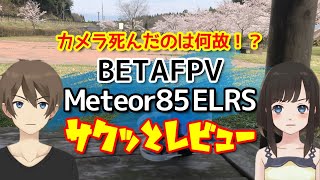 BETAFPV Meteor85 ELRS サクッとレビュー [upl. by Eniluap766]