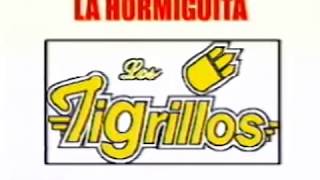 Los Tigrillos  La Hormiguita Video Oficial [upl. by Maren]