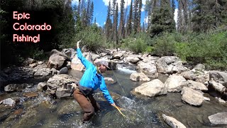 The TOP 10 fishing spots in Colorado  McFly Angler Fly Fishing [upl. by Acim]