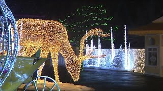 Elitch Gardens debuts Luminova light experience to reopen park for the holiday season [upl. by Adnilema54]