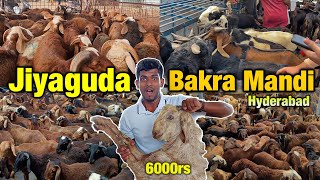 HYDERABAD JIYAGUDA BAKRA MANDI  2024  Goat Market  Qurbani Ke Jaanwar [upl. by Lorianna]