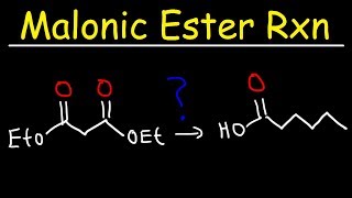 Malonic Ester Synthesis Reaction Mechanism [upl. by Astred]