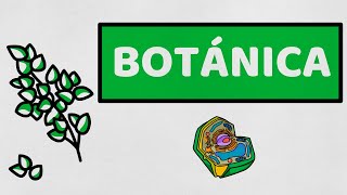 ☘️ INTRODUCCIÓN A LA BOTÁNICA  Biología Vegetal [upl. by Annoyt]