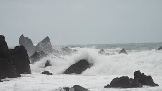 EXPLORING PEMBROKESHIRE  Rugged Cliffs Skomer Island and Wild Seas [upl. by Llertnad]